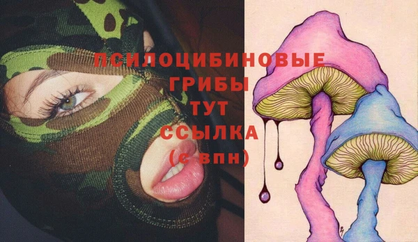 мдма Горнозаводск